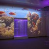 Проекционный дизайн "Виртуальная реальность" базовый комплект 500 анимаций - «globural.ru» - Мурманск