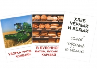 Раздаточные карточки "Хлеб всему голова" - «globural.ru» - Мурманск