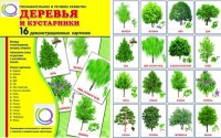Демонстрационные карточки "Деревья и кустарники" - «globural.ru» - Мурманск