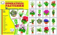 Демонстрационные карточки "Комнатные растения" - «globural.ru» - Мурманск