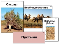 Модель-аппликация "Природные зоны России" - «globural.ru» - Мурманск