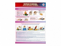 Стенды "Первая помощь в чрезвычайных ситуациях" - «globural.ru» - Мурманск