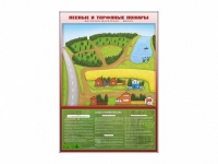 Магнитно-маркерная доска "Лесные и торфяные пожары" + комплект тематических магнитов - «globural.ru» - Мурманск