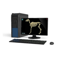 Макет масштабный «Скелет Лошади» Масштаб 1:2 - «globural.ru» - Мурманск