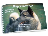 Пособие для слабовидящих "Домашние животные" - «globural.ru» - Мурманск