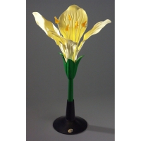 Модель Цветок капусты - «globural.ru» - Мурманск