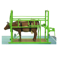 Наглядный макет «Методы и устройства для фиксации КРС» - «globural.ru» - Мурманск