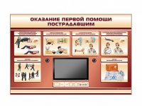 Многофункциональный интерактивный стенд-тренажер "Оказание первой помощи пострадавшим" для учащихся общеобразовательных учреждений - «globural.ru» - Мурманск