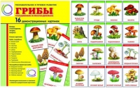 Демонстрационные карточки  "Грибы съедобные и не съедобные" - «globural.ru» - Мурманск