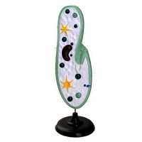 Модель инфузории-туфельки - «globural.ru» - Мурманск