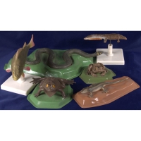 Комплект моделей "Позвоночные животные" (8 штук) - «globural.ru» - Мурманск