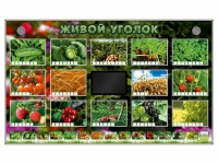 Комплект оборудования "Живой уголок" (растения) - «globural.ru» - Мурманск