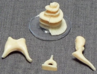 Модель "Косточки слуховые" - «globural.ru» - Мурманск