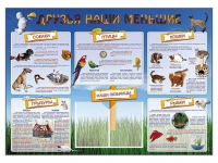 Стенд-уголок "Друзья наши меньшие" - «globural.ru» - Мурманск
