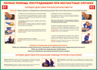 Таблица Порядок действий при внезапной смерти 1000*1400 винил - «globural.ru» - Мурманск