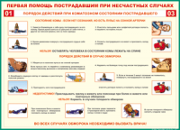 Таблица Порядок действий при коматозном состоянии пострадавшего 1000*1400 винил - «globural.ru» - Мурманск