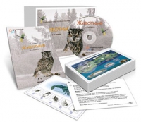 Комбинированное наглядное пособие «Животные» - «globural.ru» - Мурманск
