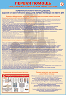 Плакат "Первичный осмотр пострадавшего, оценка его состояния и оказание первой помощи на месте ДТП " 1000*1400 винил - «globural.ru» - Мурманск