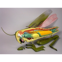 Модель "Кузнечик" - «globural.ru» - Мурманск