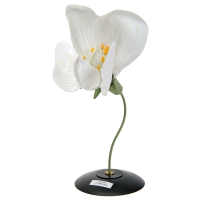 Модель "Цветок гороха" - «globural.ru» - Мурманск