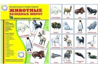 Демонстрационные карточки "Животные холодных широт" - «globural.ru» - Мурманск