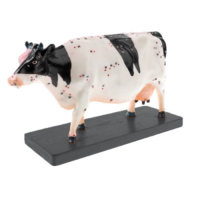 Электрифицированный макет коровы на каркасе - «globural.ru» - Мурманск