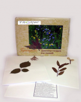 Гербарий Дикорастущие растения (28 видов) - «globural.ru» - Мурманск