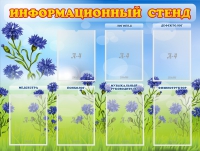 Стенд информационный с 7 карманами - «globural.ru» - Мурманск