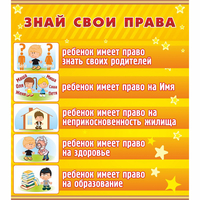 Стенд "Знай свои права" - «globural.ru» - Мурманск