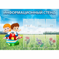Стенд информационный с 6 карманами - «globural.ru» - Мурманск