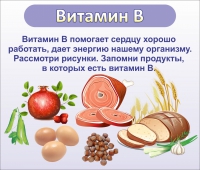 Стенд "Витамин В" - «globural.ru» - Мурманск