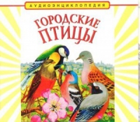 CD "Аудиоэнциклопедия. Городские птицы" - «globural.ru» - Мурманск