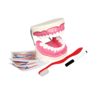 Игровой комплект "Чистим зубы" - «globural.ru» - Мурманск