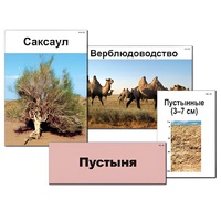 Модель-аппликация "Природные зоны России" - «globural.ru» - Мурманск