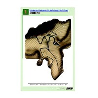 Рельефная таблица "Археоптерикс" (формат А1, матовое ламинир.) - «globural.ru» - Мурманск