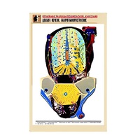 Рельефная таблица "Долька печени. Макро-микростроение" (формат А1, матовое ламинир.) - «globural.ru» - Мурманск