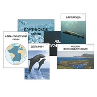 Модель-аппликация "Океаны. Знакомство" (ламинированная) - «globural.ru» - Мурманск