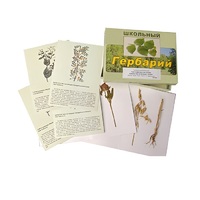 Гербарий "Систематика растений. Семейство Бобовые. Злаки" (раздаточный) - «globural.ru» - Мурманск