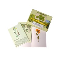 Гербарий "Систематика растений. Семейство Пасленовые. Крестоцветные. Сложноцветные" (раздаточный) - «globural.ru» - Мурманск