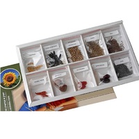 Коллекция "Плоды сельскохозяйственных растений" (вариант 2) - «globural.ru» - Мурманск