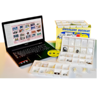 Коллекция натурально-интерактивная "Пластмассы" - «globural.ru» - Мурманск