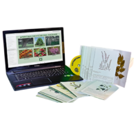 Гербарий натурально-интерактивный "Лекарственные растения" - «globural.ru» - Мурманск