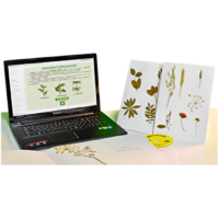 Гербарий натурально-интерактивный "Морфология растений" - «globural.ru» - Мурманск