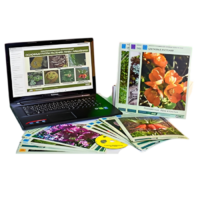 Гербарий натурально-интерактивный "Основные группы растений. Грибы. Лишайники" - «globural.ru» - Мурманск