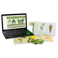 Гербарий натурально-интерактивный "Растительные сообщества. Лес" - «globural.ru» - Мурманск