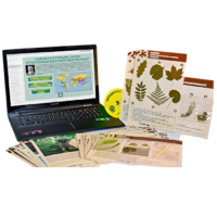 Гербарий натурально-интерактивный к курсу основ общей биологии - «globural.ru» - Мурманск