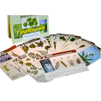 Гербарий к курсу основ общей биологии - «globural.ru» - Мурманск