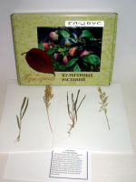 Гербарий Культурные растения (28 видов) - «globural.ru» - Мурманск