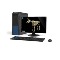 Макет масштабный «Скелет Коровы» Масштаб 1:2 - «globural.ru» - Мурманск