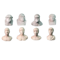 Набор палеонтологических муляжей - «globural.ru» - Мурманск